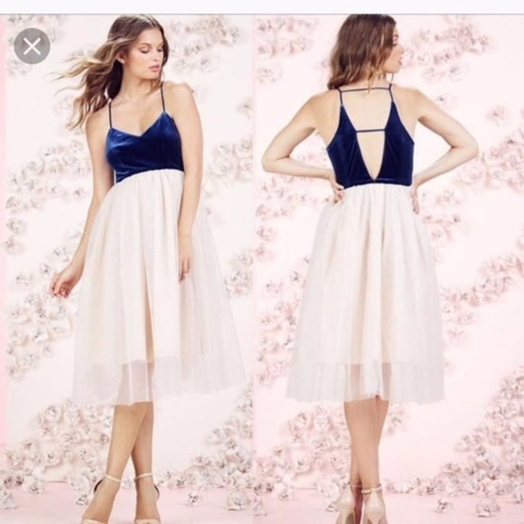 LC Lauren Conrad Dresses & Skirts - LC Lauren Conrad Runway Tulle Velvet Dress Size 12